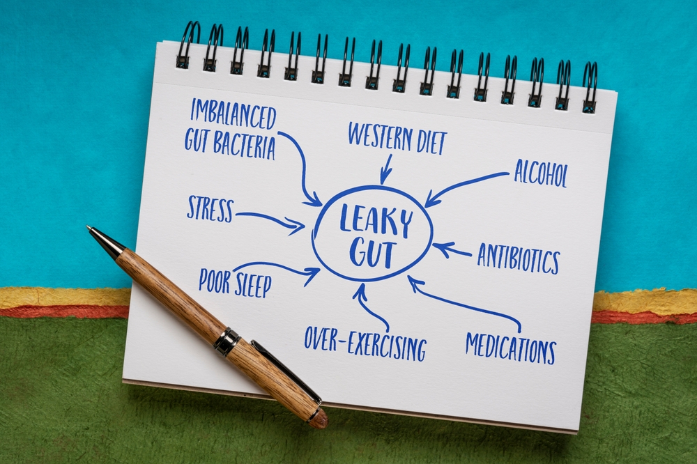 leaky gut leaky gut