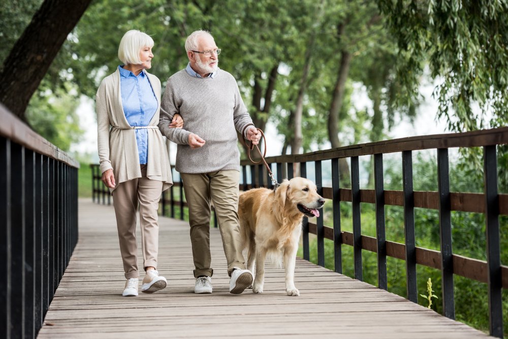 senior mobility swetech medical center senior mobility swetech medical center