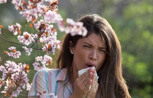 seasonal allergies dr jon swetech michigan